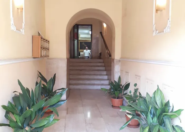 Royal 게스트하우스 3*